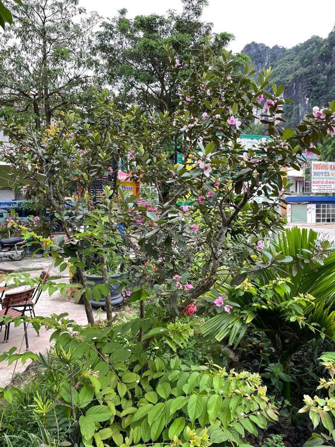 Phong Nha Green Homestay Exterior photo